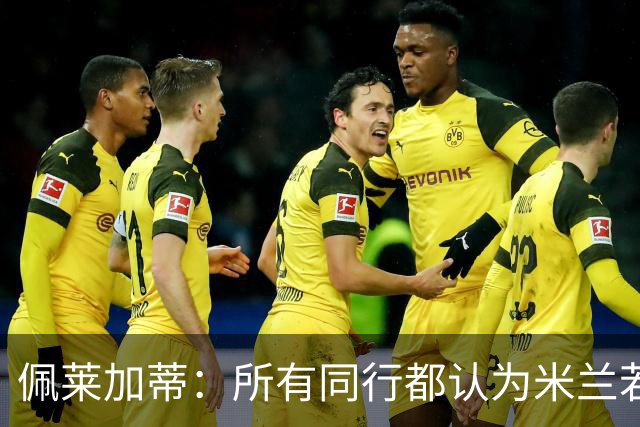 佩莱加蒂：所有同行都认为米兰若维持现有的阵容将会举步维艰