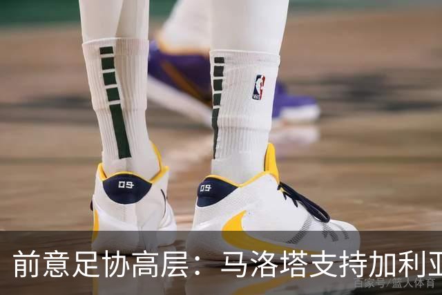 前意足协高层：马洛塔支持加利亚尼竞选足协主席，意甲已分裂