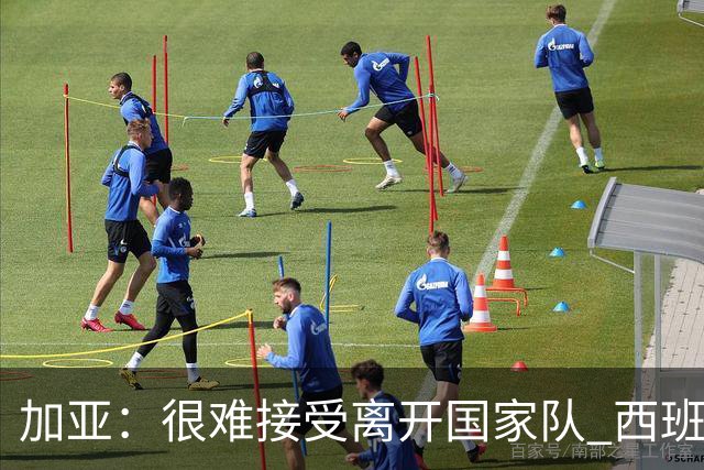 加亚：很难接受离开国家队 西班牙将踢出精彩世界杯