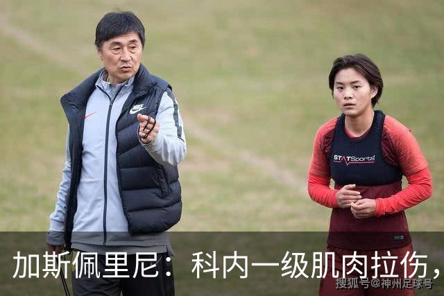 加斯佩里尼：科内一级肌肉拉伤，迪巴拉小腿腓肠肌的肌肉疲劳