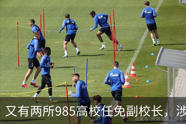 又有两所985高校任免副校长，涉及中山大学、中国科学技术大学