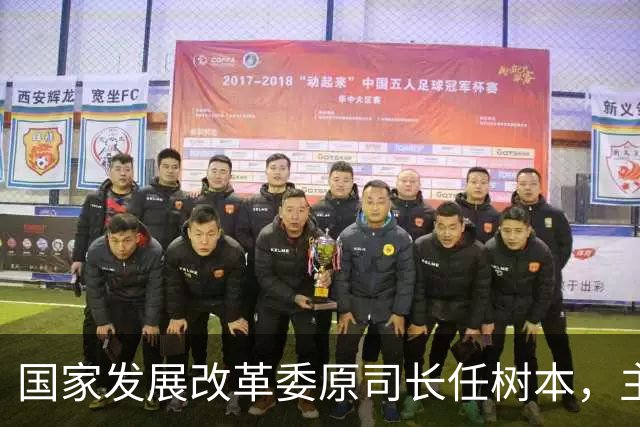 国家发展改革委原司长任树本，主动投案