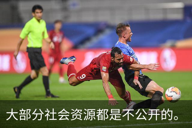 大部分社会资源都是不公开的。