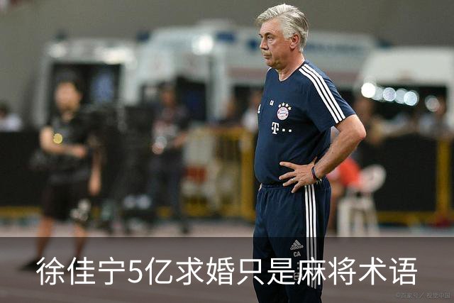 徐佳宁5亿求婚只是麻将术语
