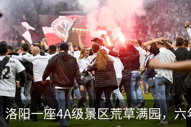 洛阳一座4A级景区荒草满园，六年五次拆除调查：运营方认为相关拆除行为属于强制拆除，管委会称拆除的是占用耕地的违法建设