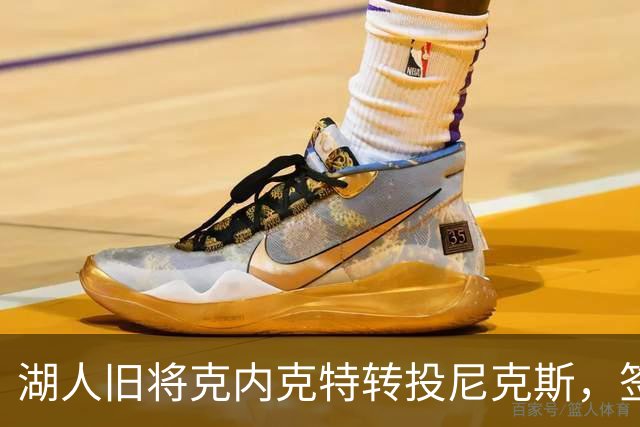 湖人旧将克内克特转投尼克斯，签双向合同