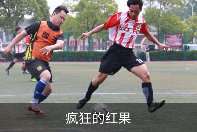 疯狂的红果