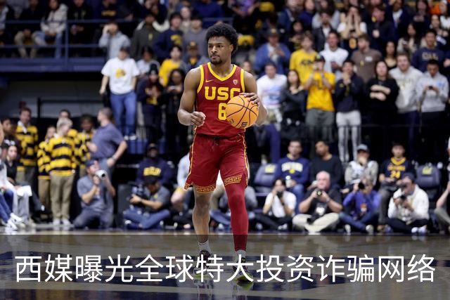 西媒曝光全球特大投资诈骗网络