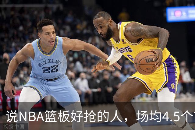 说NBA篮板好抢的人，场均4.5个前板排第4