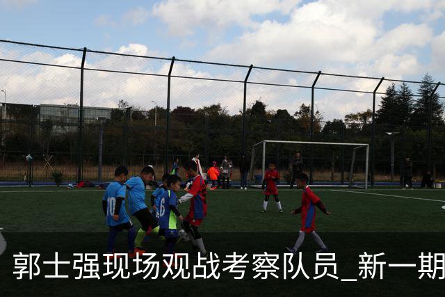 郭士强现场观战考察队员 新一期中国男篮名单悬念待解