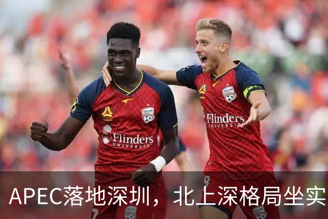 APEC落地深圳，北上深格局坐实了